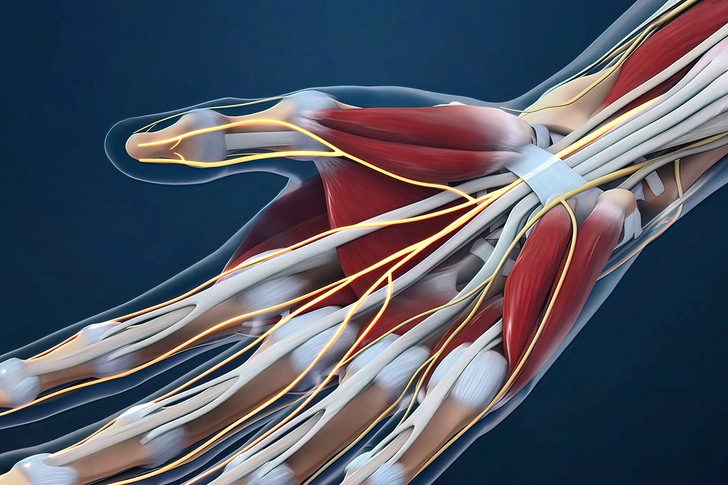 Tendon Release Surgery Tendon Release Surgery