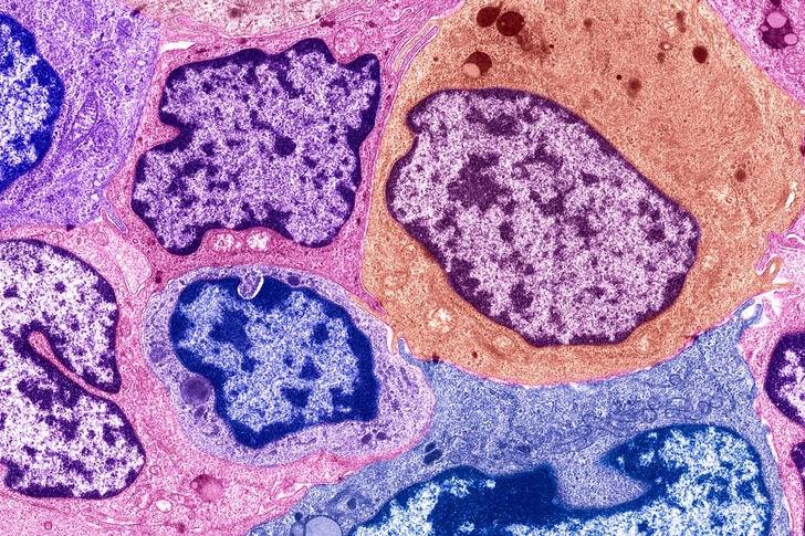 Cancer Isn’t One-Size-Fits-All