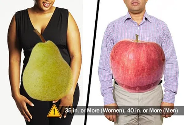 female and male body shapes