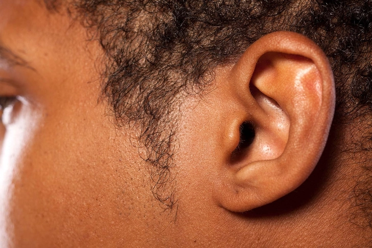 Ears