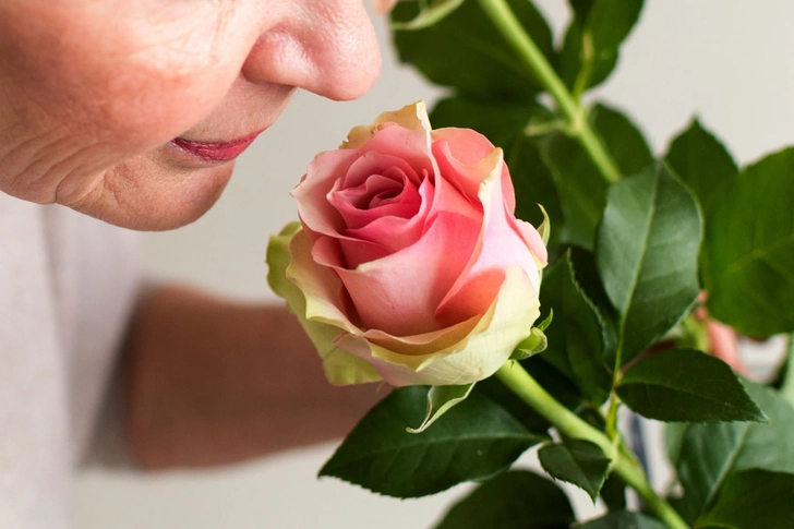 Decreased Sense of Smell: Alzheimer’s Decreased Sense of Smell: Alzheimer’s