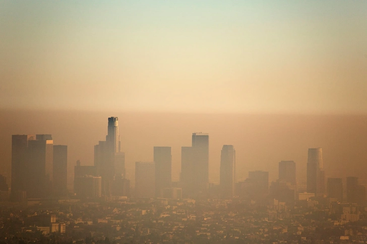 Brown Snot: Air Pollution, Smoke, Dried Blood