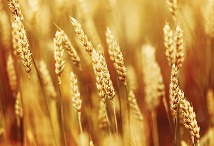 What Foods Do You Cut for Pain or Inflammation? What Foods Do You Cut for Pain or Inflammation?