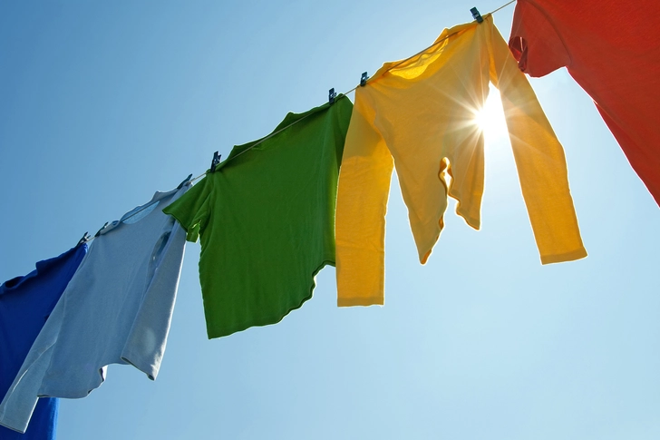 Sunlight Can Kill Germs Sunlight Can Kill Germs