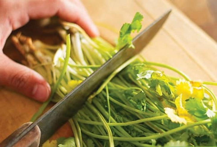 Fresh Herbs Fresh Herbs