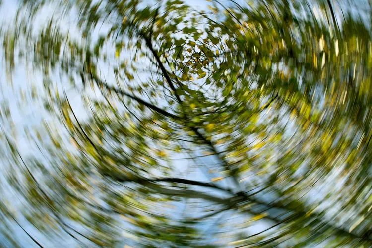 photo of vertigo concept with spinning trees