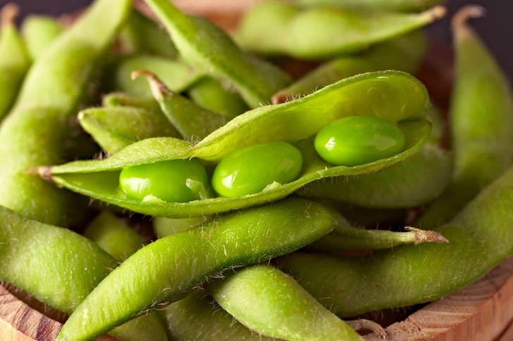 Great Source of Iron