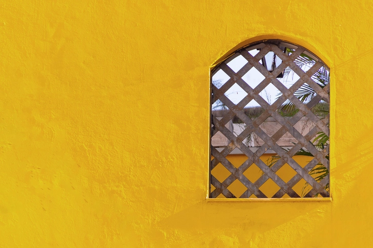 Dark Yellow Dark Yellow