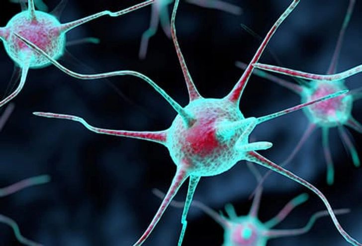Neurological Conditions Neurological Conditions