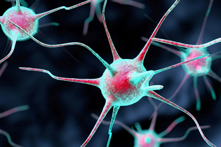Peripheral Neuropathy