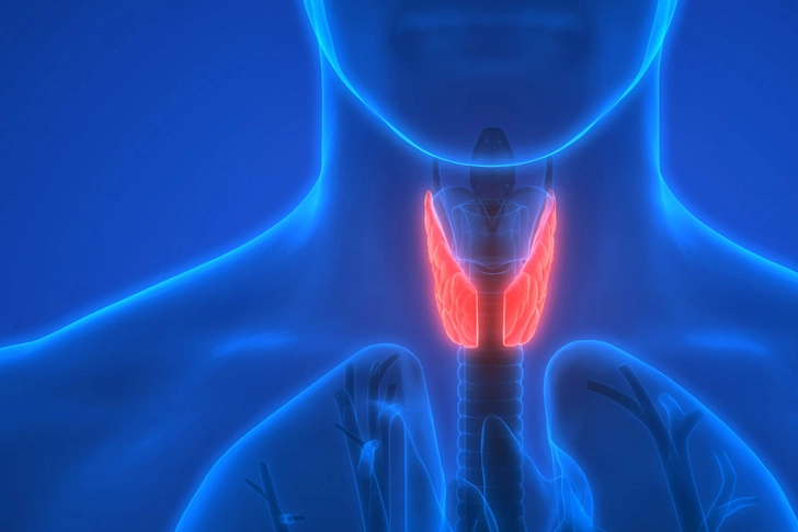 Thyroid Problems