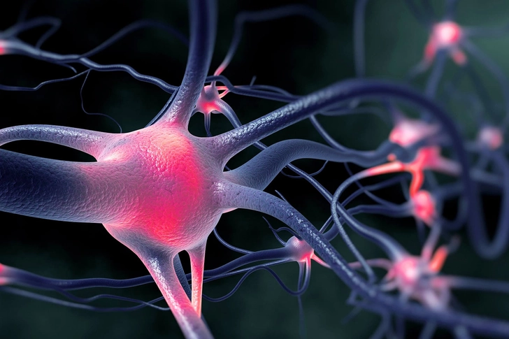 Nerve Conditions Nerve Conditions