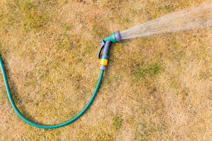 Dry Weather
