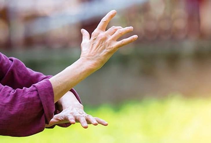 Tai Chi Tai Chi