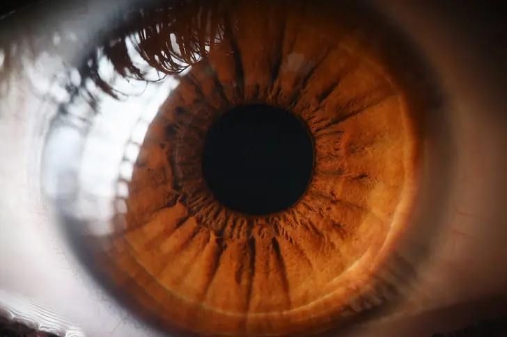 Food and Your Eyes