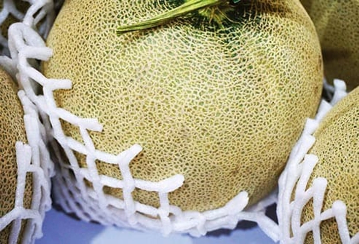 Cantaloupe