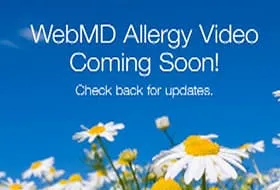 WebMD Allergy App Tour