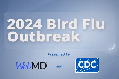photo of WebMD and CDC 2024 Bird Flu Outbreak Coll