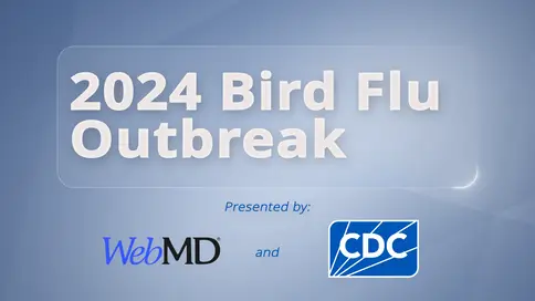photo of WebMD and CDC 2024 Bird Flu Outbreak Coll