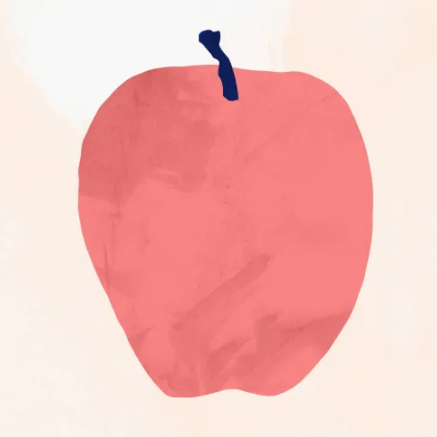 Fetal development 15 Weeks Pregnant