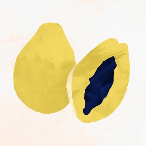 Fetal development 22 Weeks Pregnant